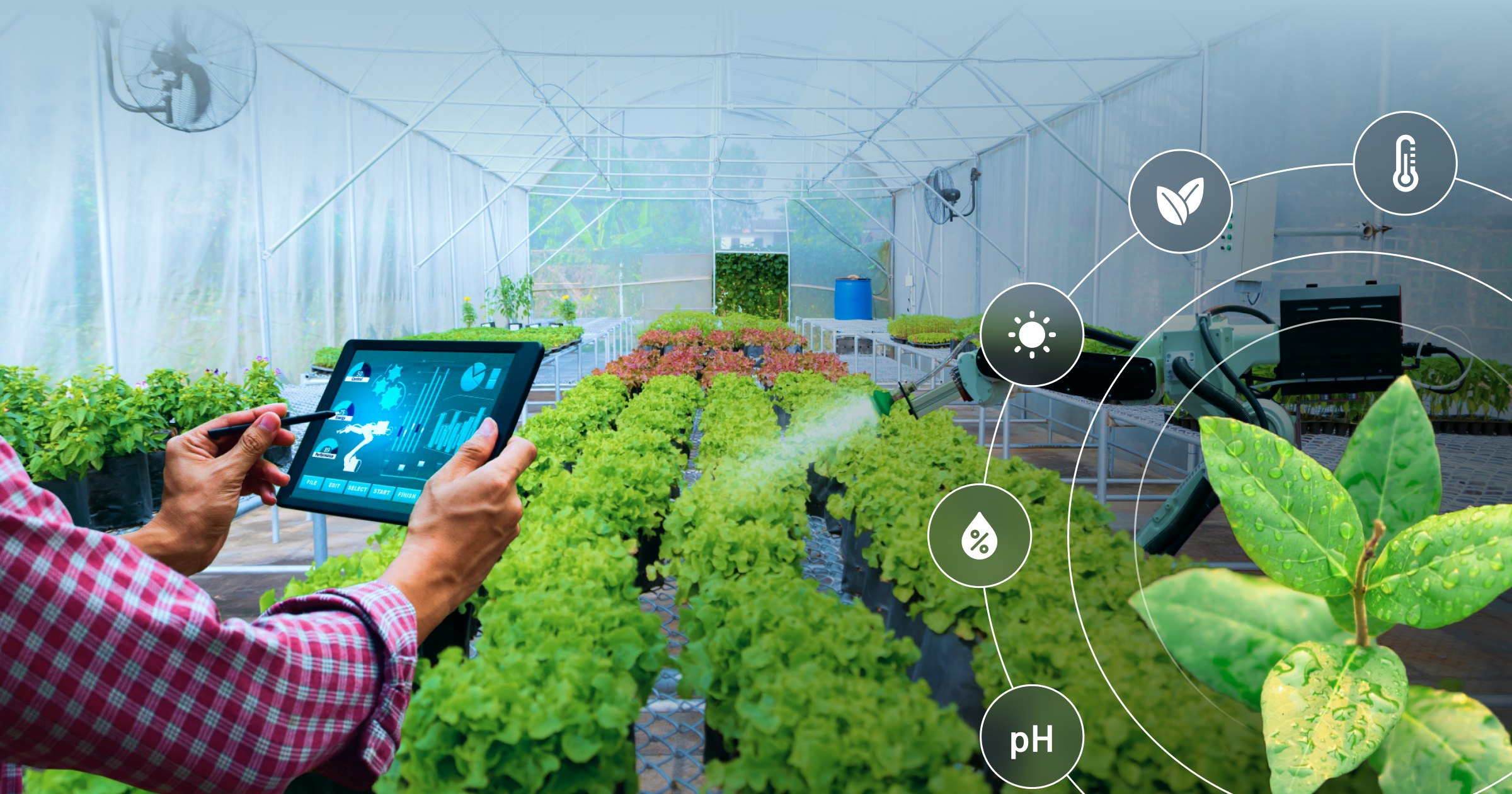 Agricultura IoT